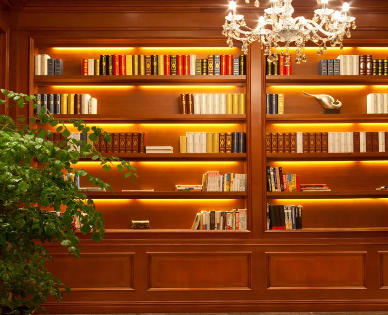 Live Broadcast Room Background Wall Cloth Indoor Study Bookshelf Antique 3D Arrangement Photo Short Video Wallpaper