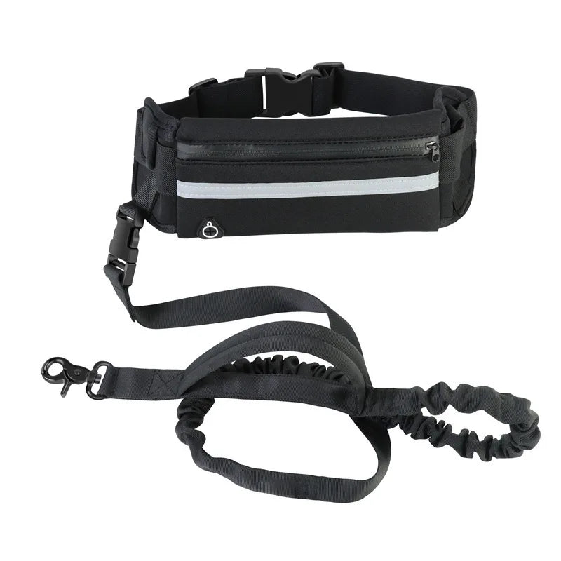 Retractable Hands Free Dog Leash for Running Waist Leash for Dog Walking and Durable Bungee for Jogging Biking and Running