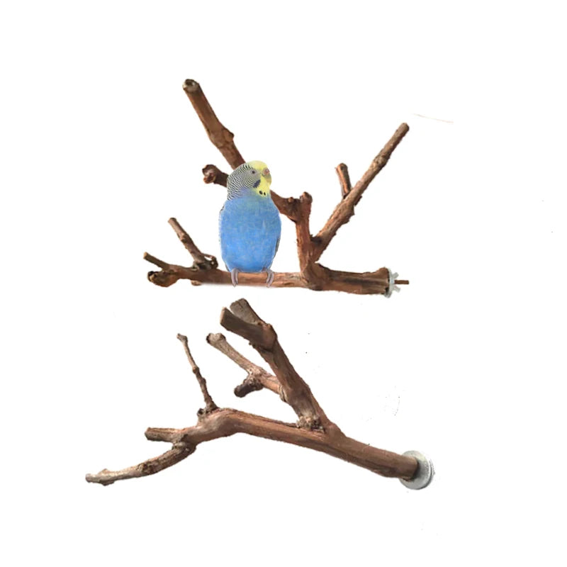 Small Natural Grape Vine Wood and Steel Laser Toy Fun Playful Parrot Perch Accessory for Birds Cage