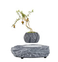China Plants Natural Elegant Unique Small Indoor Outdoor Decor Nursery Resin Magnetic Levitating Floating Plant Pot