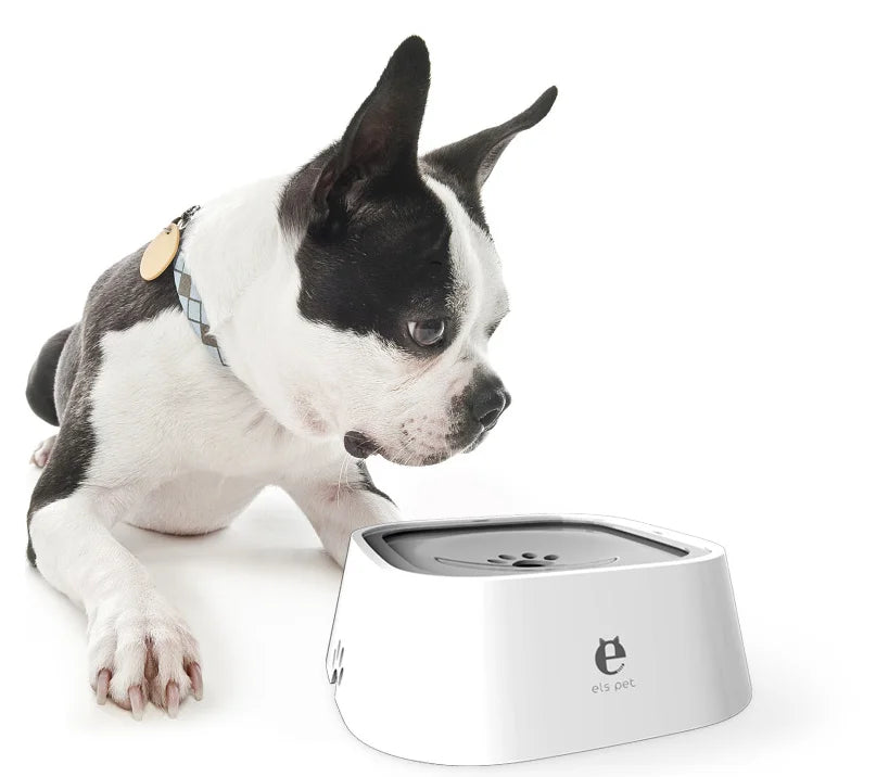 ABS Not Wet Mouth Not Wet Beard Water Splash Prevent Buoyant Force Bowl Pet Dog Water Bowl