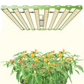 Samsung Official Partner KingBrite P55 800W Samsung LM301H EVO LED Grow Light New Design Rotatable Grow Bar