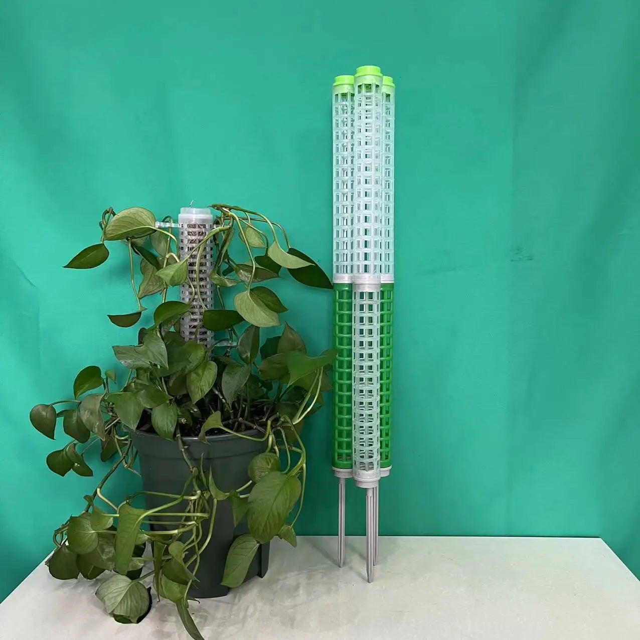 Black Green Plastic Mesh Plant Stakes for Indoor Outdoor Transparent Climbing Plants Setting Pole Water Moss Garden Supplies