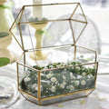 Customization Hot Sale Rectangular Glass Terrariums With Doors Geometric Containers Plant Terrariums for Wall Moss