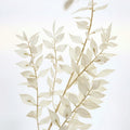 Wholesale Eternal Forever Immortal Natural Preserved Dried Foliage Dried Flowers and Plants Preserved Ruscus Dried Ruscus