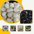 High Quality Pebble Polished YUHUA Stone for Garden Paving and Landscaping Black Stone for Succulent Pavement