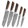 67 Layer Damascus Steel 5-Piece Kitchen Knife Set with Wood Handle Chef Kiritsuke Santoku Boning Utility Knife