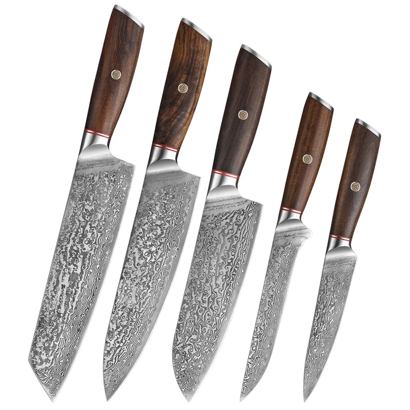 67 Layer Damascus Steel 5-Piece Kitchen Knife Set with Wood Handle Chef Kiritsuke Santoku Boning Utility Knife