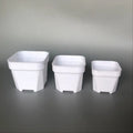 5cm Small Thick Durable square Nursery Succulent Cactus Flower Pot