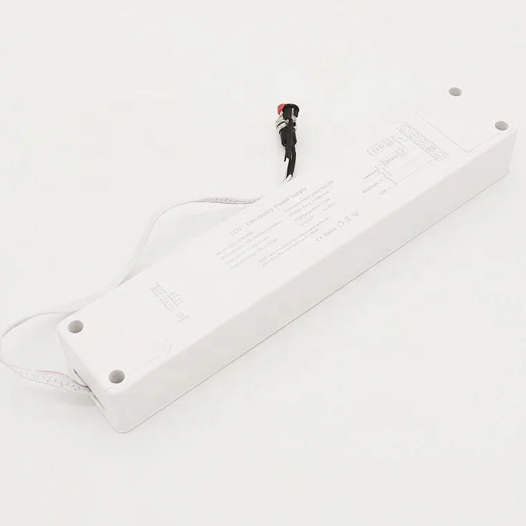 LED Emergency Power Pack Dual AC-DC 8W Low Temperature Plastic Case Emergency LED Driver for LED Panel