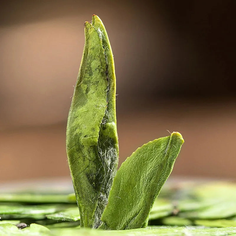 Selection of High Quality Zhejiang Hangzhou Longjing Green Tea Wholesale Bulk Longjing