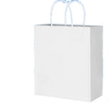 Fashion Eco Friendly Foldable Reusable Plain Jewelry White Paper Shopping Carry Bag