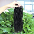 Drop Shipping Vendor Raw Human Hair Indian Unprocessed Cuticle Align Single Donor Raw Hair Double Drawn Hair Bundles