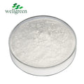 Wellgreen OEM Best Price Food Grade Nutrition Healthcare Supplement Fish Oil Algal DHA Powder