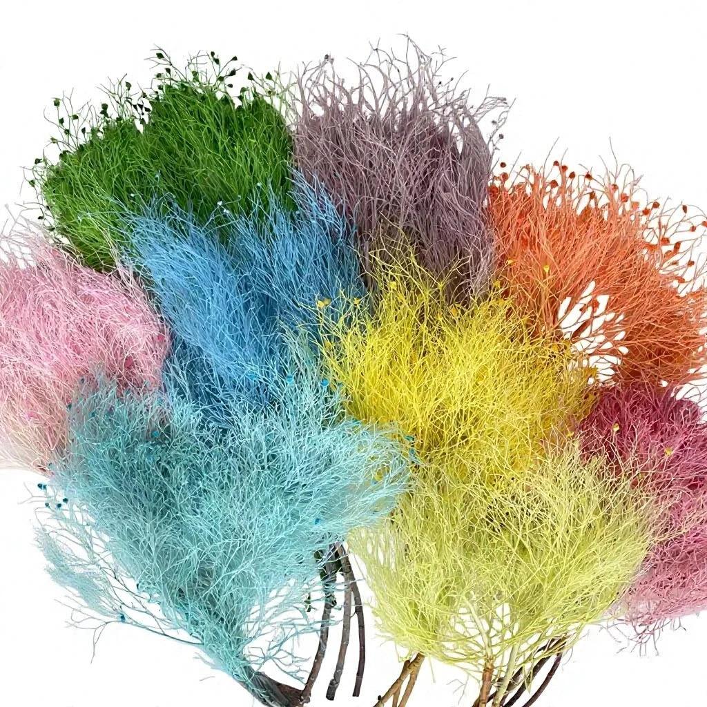 Best Selling Long Lasting Dried Flowers Dream Grass 50-60cm Home Decoration Items Decorative Objects Wedding Favorite Flower