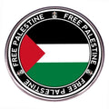 Spot Palestinian Flag Brooch Acrylic Brooch Insignia Can Be Customized to Any Design Pin