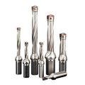 CHAJANE HRC60 Interchangeable Shank Milling Cutter - High Precision â‰¤0.005mm TiN Coated RoHS Certified CNC Tool