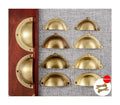 Hot Sale Gold Antique Brass Shell Cabinet Handles Drawer Pulls