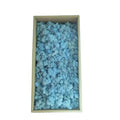 High Quality Preserved Reindeer Moss Wholesale Real Everlasting Eternal Dried Stabilized Live Reindeer Moss Lichen for Crafts