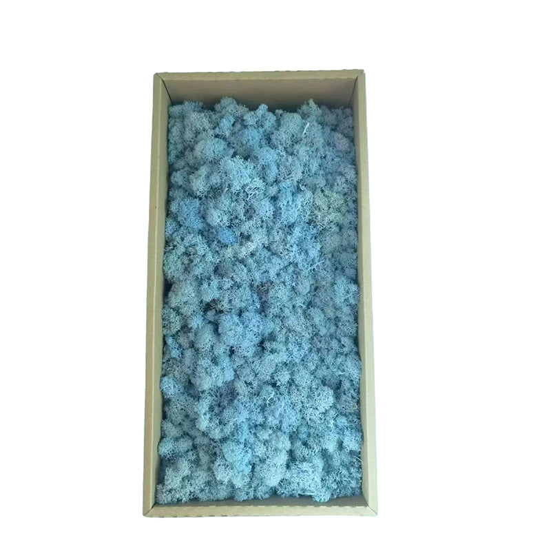 High Quality Preserved Reindeer Moss Wholesale Real Everlasting Eternal Dried Stabilized Live Reindeer Moss Lichen for Crafts