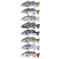 Auto Electric Lure Bait Robotic Swimming Wobbler Fishing Lures for 4-Segement Swimbait USB Rechargeable Flashing LED Lures