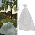 Free Sample Eco Friendly Breathable Waterproof PP Spunbond Nonwoven Fabric Bags Grapes Fruit Cover Protection Biodegradable
