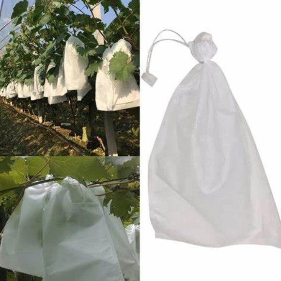 Free Sample Eco Friendly Breathable Waterproof PP Spunbond Nonwoven Fabric Bags Grapes Fruit Cover Protection Biodegradable
