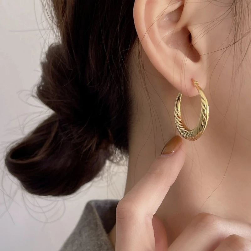 Melynn Twisted Big Earrings Women Jewelry 925 Sterling Silver Hoop Earring 18k Gold Plated Jewelry Waterproof Earrings