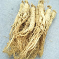 Hot Sale Ren Shen Top Grade Changbai Mountain White Ginseng Root Slices for Tea