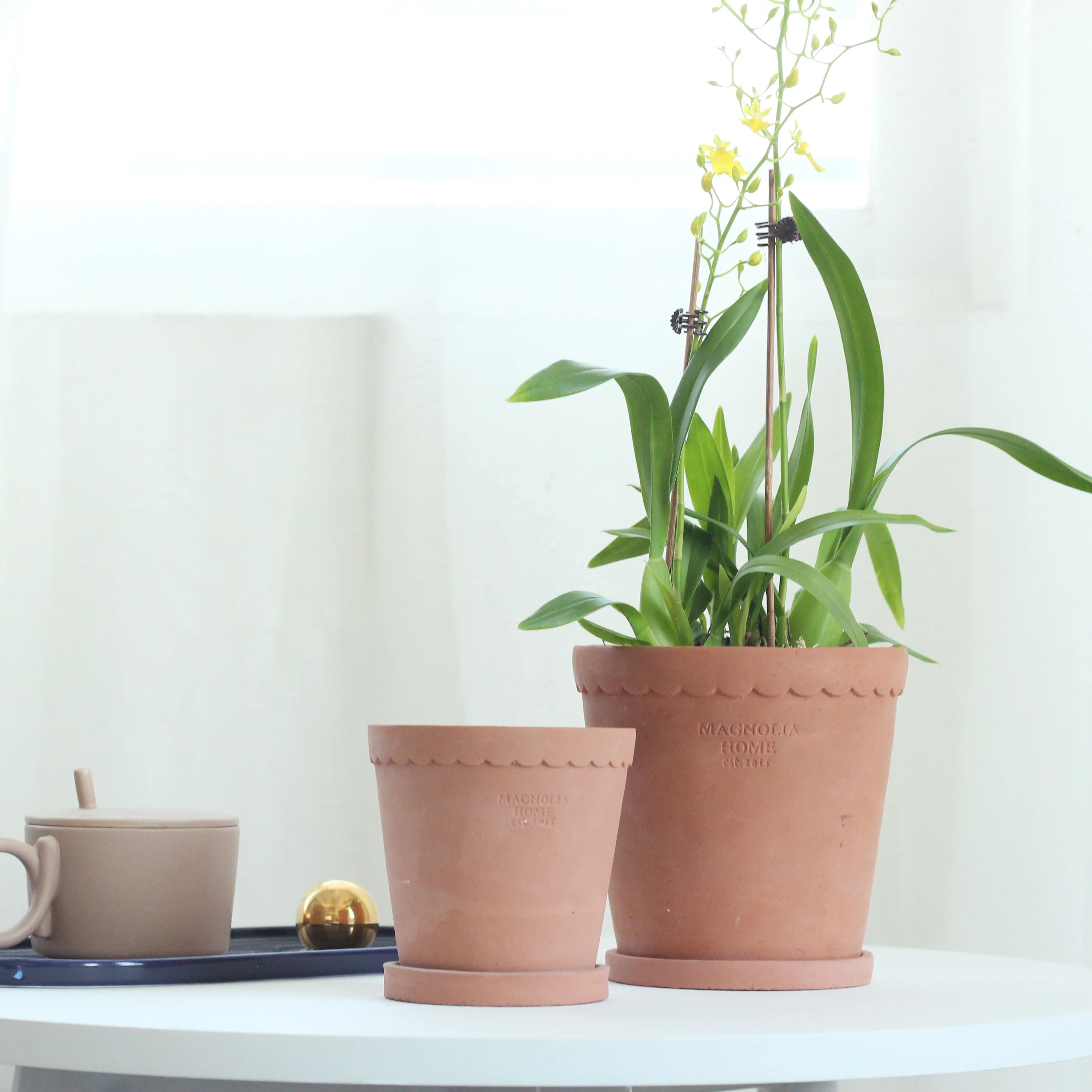 Vintage Style Colored Pigment Cement Eco-Friendly Flower Pots with Saucer for Home Garden Decor