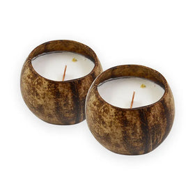 Wholesale Natural Coconut Shell Bowl Candles Wooden Wick Custom Logo