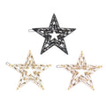 Five-pointed Star Shape Hairpin for Girls Simple and Exquisite Acetate Hair Clip Hollow Design Fairy Headdress Hairpin