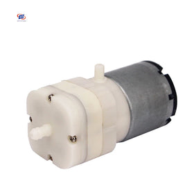 Factory Customized Dc 12v 24v Mini Electric Portable Atomizer Vacuum Pump