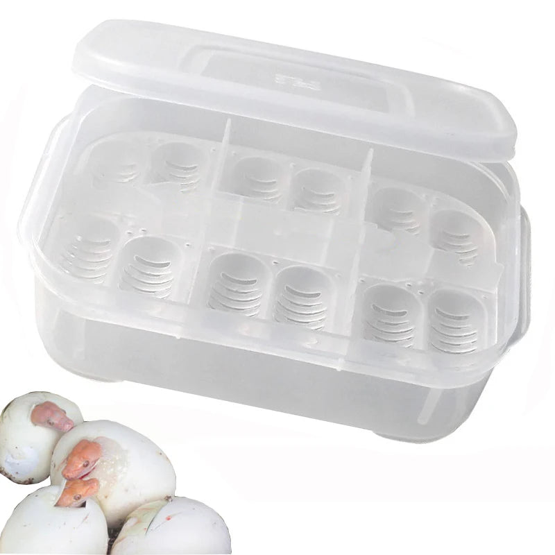 12 Eggs Lizard Turtle Incubator Trays Plastic Reptile Breeding Box Egg Hatching Box Mini Incubator Egg