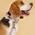 MIDEPET Luxury Custom Logo Dog Collar Leash Set Low MOQ Pet Product Supplier Padded Print Design Low MOQ Pet Product Supplier