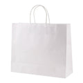 Logo Print Kraft Paper Bag Manufacturer Recycle Paper Shopping Bag with Your Own logo White Craft Paper Bag with Handle