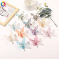 Qiyue Big Butterfly Acetate Hair Claw Clip Women Hair Girl Accessory