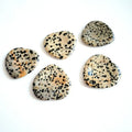 DIY Best Dalmation jasper Gemstone Chakra Engraved Worry Heart Shape Stones Set Large Crystal