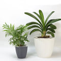 Aisimi Imitate Rattan Weave Plastic Basket Flower Pot