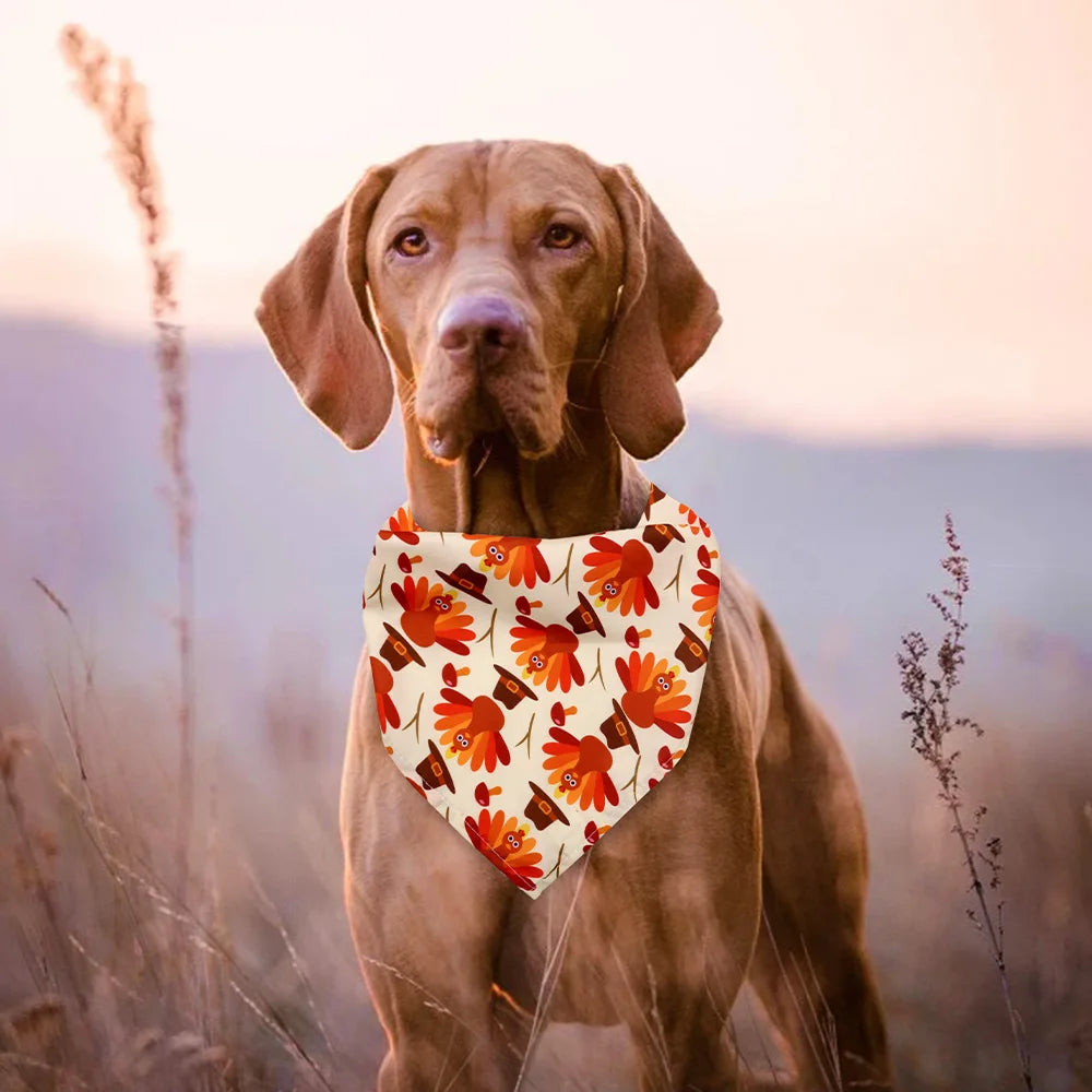 Wholesale Stocked  Pet Dog Bandanas Autumn Pumpkim Maple Leaf Dog Bandanas