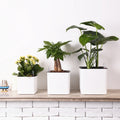 Wholesale Simple Large Self-watering Planter With Water Level Gauge Square Double-layer Water-storing Plastic Lazy Flowerpot