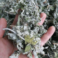 Ai Ye Dried Natural Silvery Wormwood Leaves for Sale