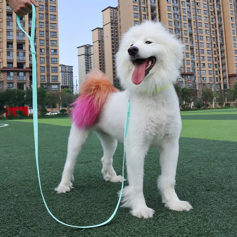 NIMBLE Adjustable Luxury Simple PVC Dog Leash Waterproof Outdoor Training Recall Long Strap Personalized Fashion Solid Pattern