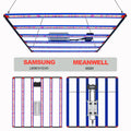 Greenhouses Timable LM301H 3500K Full Spectrum LED Grow Light 650w 1000w Grow Lights With Meanwell Driver