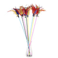 JIUZE 2024 New Long 61CM Plastic & Paper Cat Teaser Stick Interactive Toy with Feather for Cats