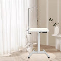 Anti - slip Electric Small Style Portable Veterinary Pet Grooming Table  LED Lighted Pet Grooming Table for Small Pets 60*40 cm