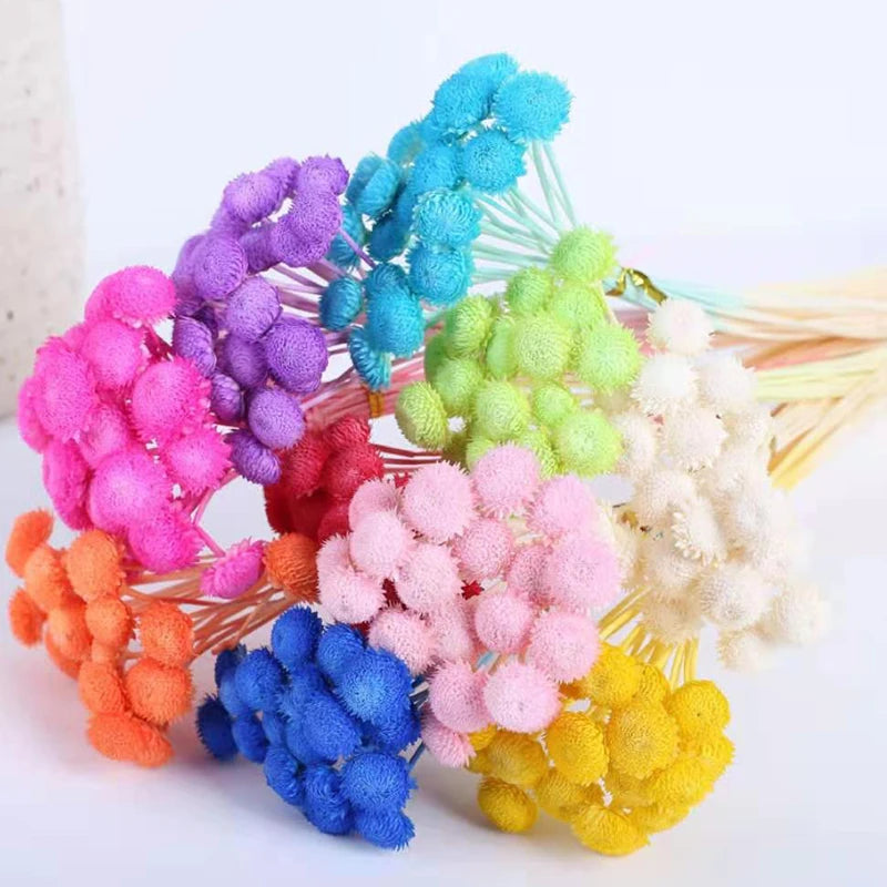 Preserved Colorful Gold Ball Bouquet Preserved Flowers Fresh Flowers Dried Flowers Home Decoration