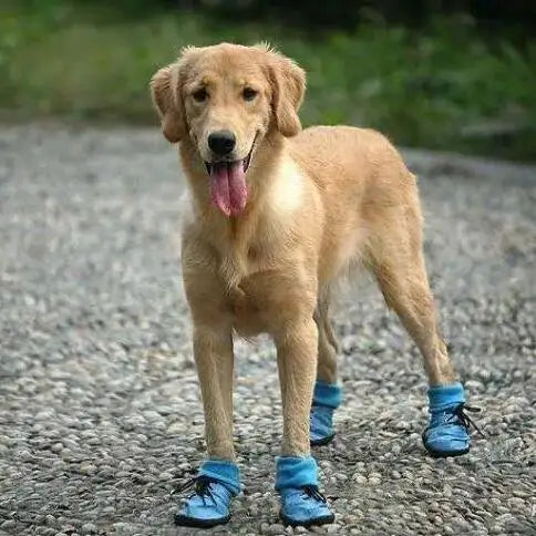 Pet Dog Shoes Candy Colors Dog Water Shoes  Rain Boots Paw Protectors Antiskid Waterproof Snow Dog Shoes