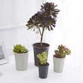 9*10.6cm Curve Design Tall Round Plastic Succulent Cactus Flower Nursery Pot
