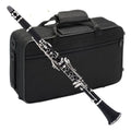 Professional Nickel Plating Bass Clarinets in B Flat Clarinet Beginner High Grade Clarinet Parts with case